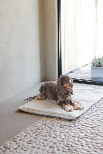 Actual product image Designed by Lotte Lounger cushion Gisel (Dog)