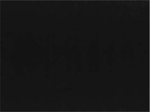 Image du produit Papstar Sets de table (100 x, 30 x 40 cm)