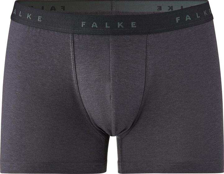 Actual product image Falke Herren (L)