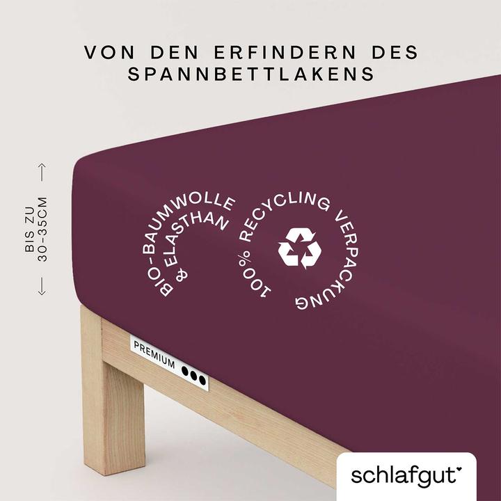 Produktbild schlafgut Premium (120 x 200 - 130 x 220 cm)
