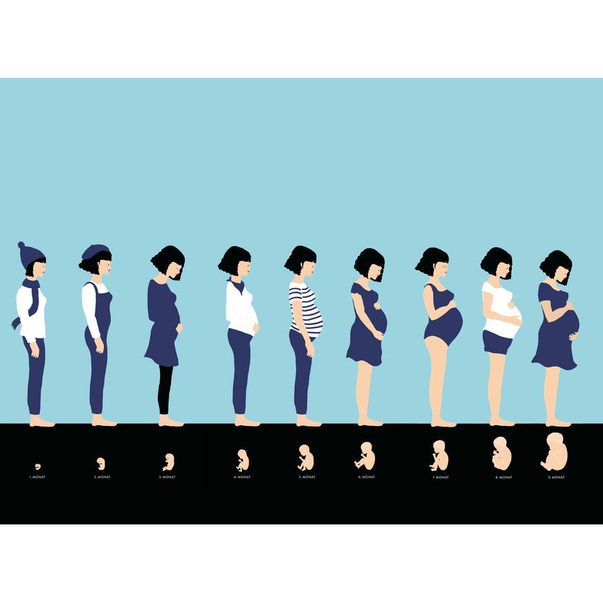 Thumbnail - Ein neues Leben entsteht, Kinderbücher von Hélène Druvert