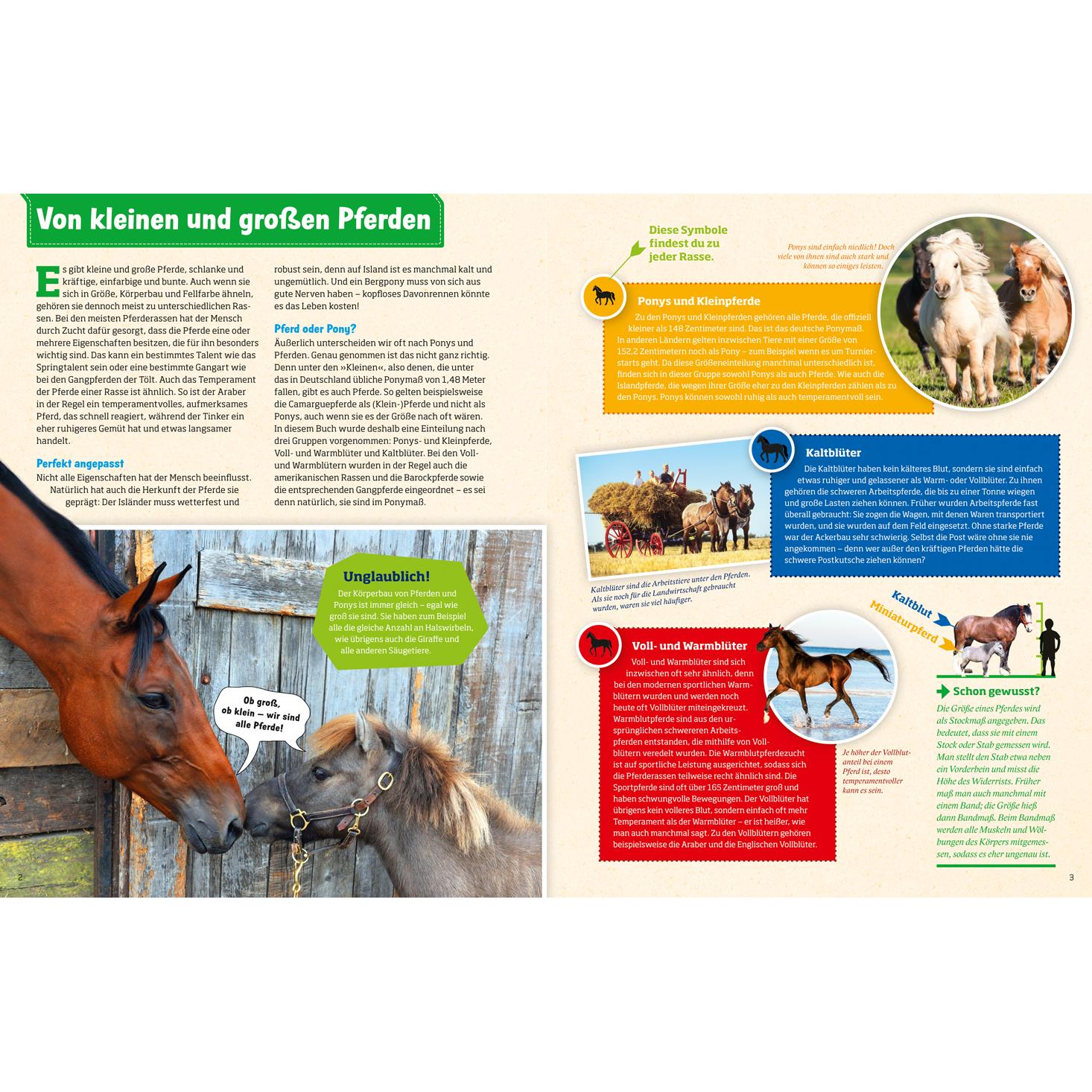 Thumbnail - Pferde und Ponys, Kinderbücher von Silke Behling