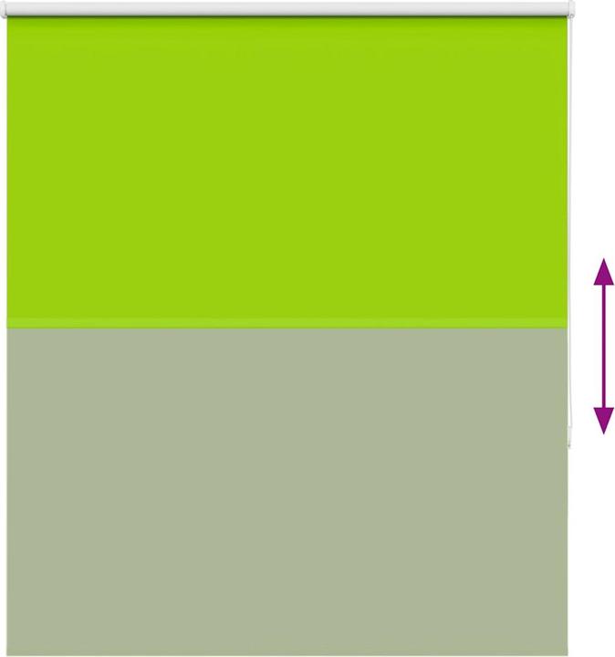 Actual product image vidaXL Verdunkelungsrollo (140 x 130 cm)