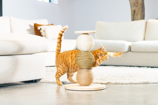 Immagine prodotto Designed by Lotte Elio (47.50 cm, Beige)