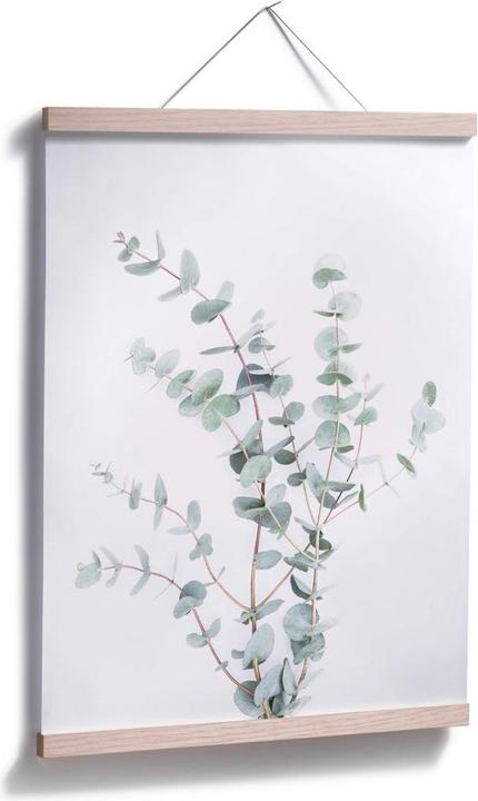 Produktbild Trenddeko Eukalyptuszweig (80 x 100 cm)