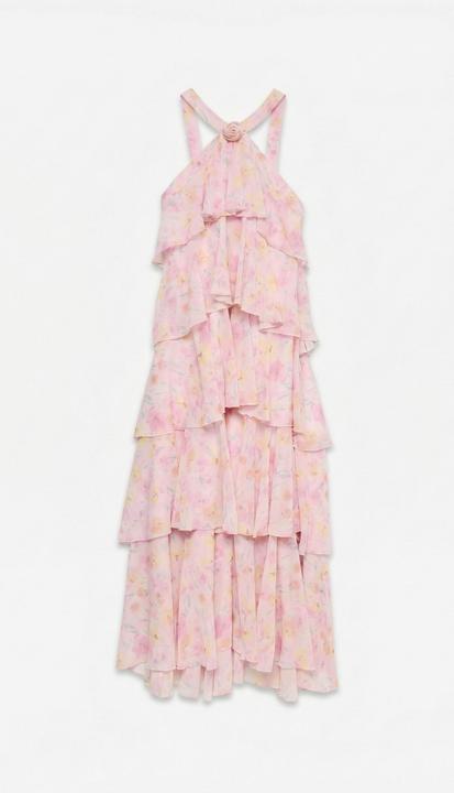 Rose, Rose Orchidée
