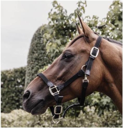 Kentucky Horsewear Stable Halter Plaited Nylon