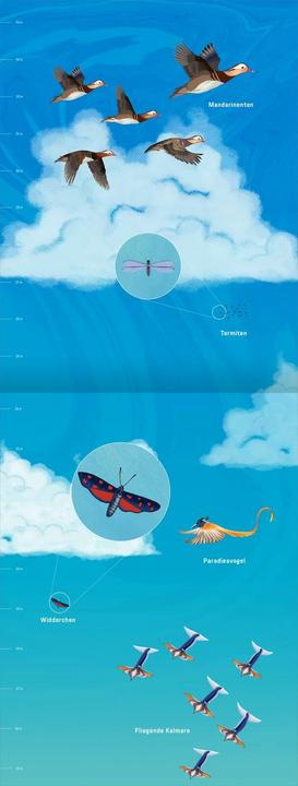 Immagine prodotto Hinauf ins Himmelblau (Tedesco, Andreas cacciatore, Gianumberto Accinelli, Giulia Zaffaroni, 2024)