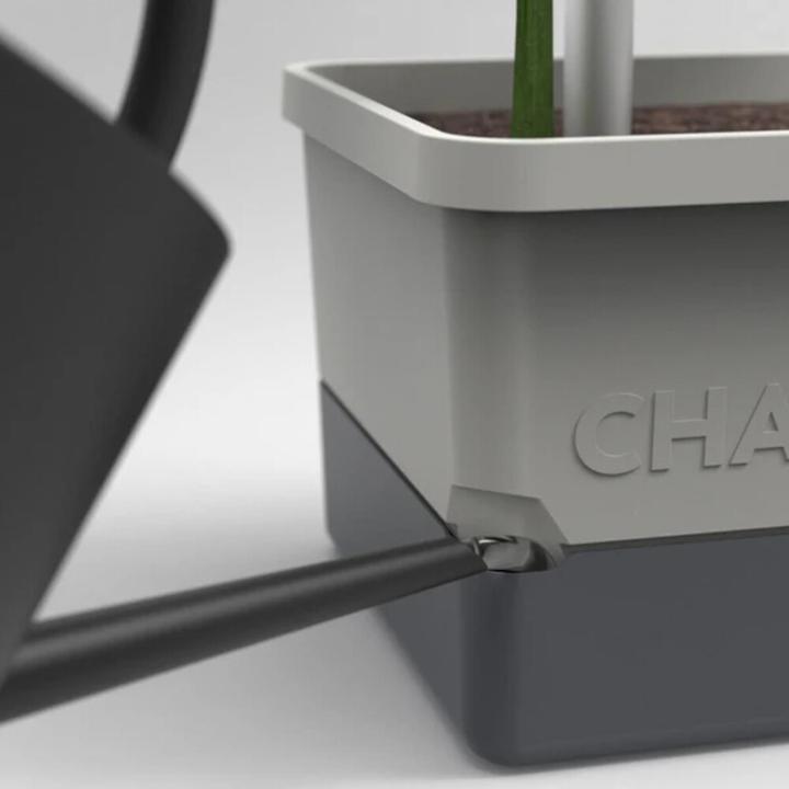 Actual product image Gusta Garden Charly Chilli XL