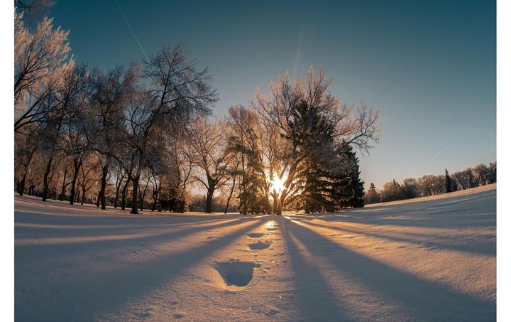 Produktbild Tokina SZ 8mm F2.8 MF Fuji X-Mount (Fujifilm X, APS-C / DX)