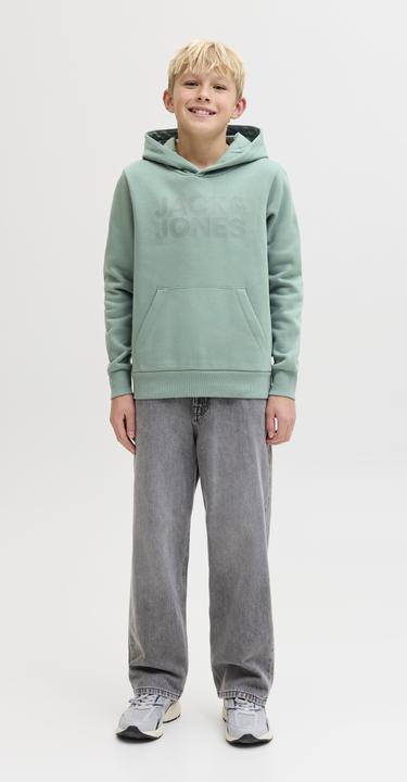 Produktbild Jack & Jones Jjecorp Logo Sweat Hood Noos Jnr (152)