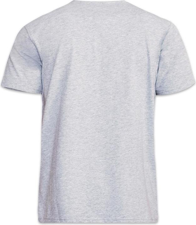 Actual product image DUKE D555 Kingsize Flyers1 TShirt (7XL)