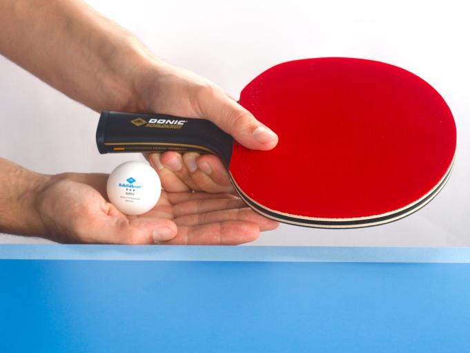 Image du produit Donic Schildkröt CarboTec 7000