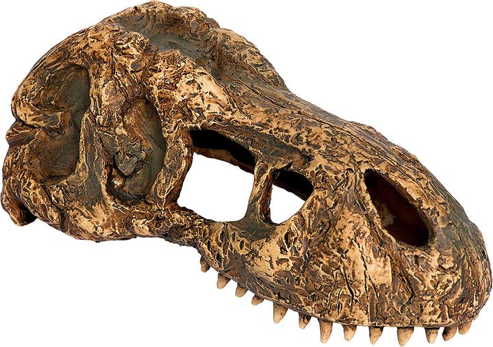 Actual product image Exo Terra T-Rex Skull