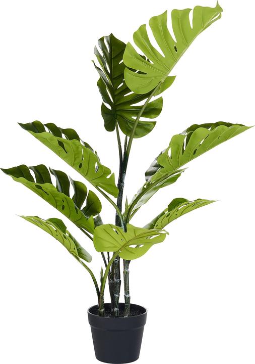 Immagine prodotto Beliani Pianta Di Monstero (94 cm)
