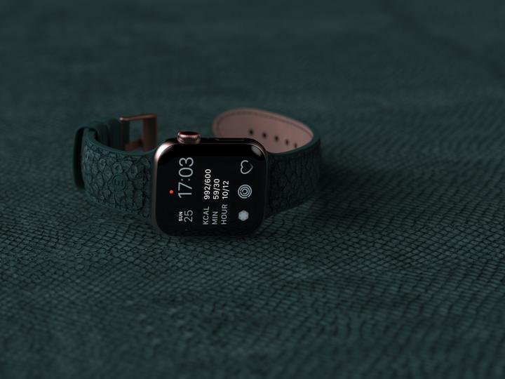 Actual product image Njord Jord Watch Strap For (41 mm, 40 mm, Vegan Leather, Silicone, Vegan salmon leather)