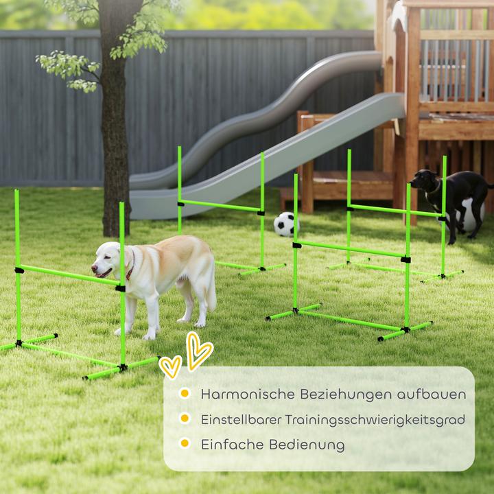 Immagine prodotto PawHut Agility Set Hunde Kunststoff Grün (Destrezza)