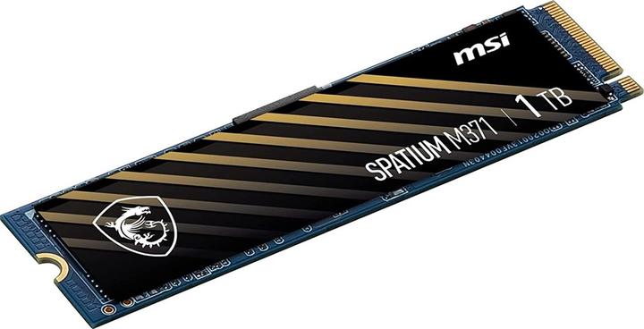 Actual product image MSI M371 NVMe M.2 (1000 GB, M.2 2280)