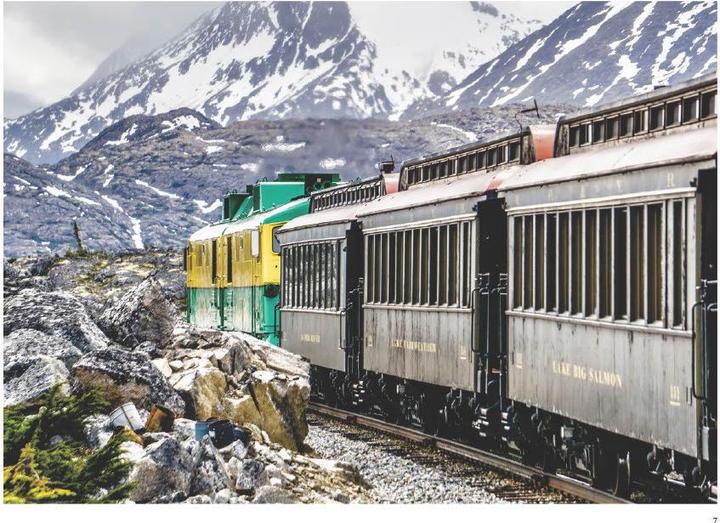 Immagine prodotto Eisenbahnreisen (Tedesco, David Ross, 2020)