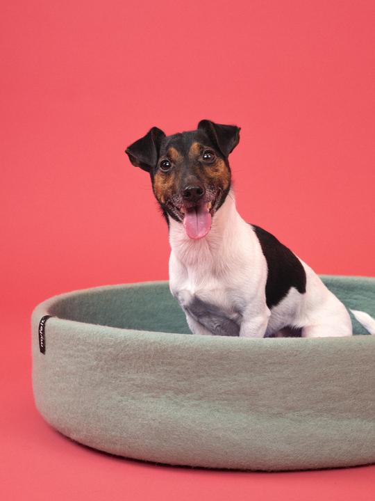 Produktbild Myfelt Fine (Hund)