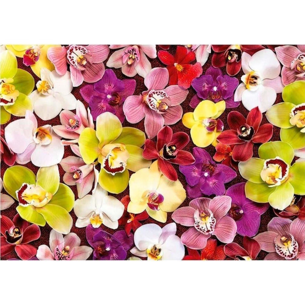 Thumbnail - Educa 19558 Puzzle 1000 Pcs. Orchid Collage (1000 Teile)