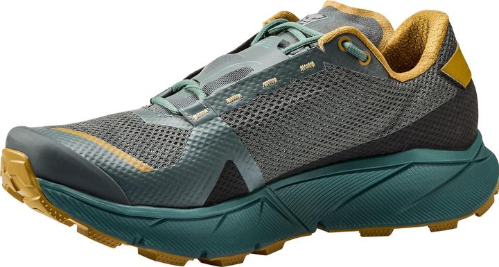 Produktbild Dynafit Ultra 100 GTX Laufschuh (48.5)