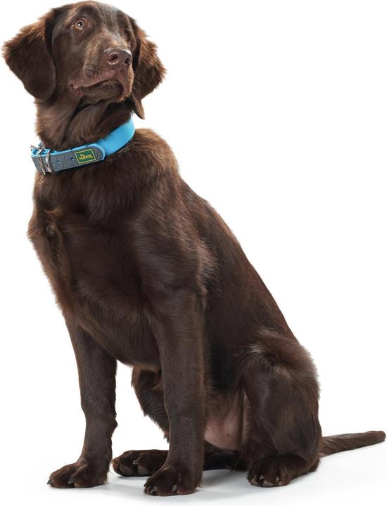 Produktbild Hunter Halsband Convenience Biothane (S, Hund, Allgemein)
