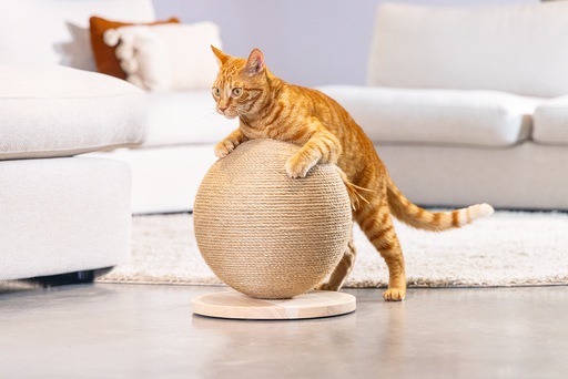 Actual product image Designed by Lotte Balty (27 cm, Brown)