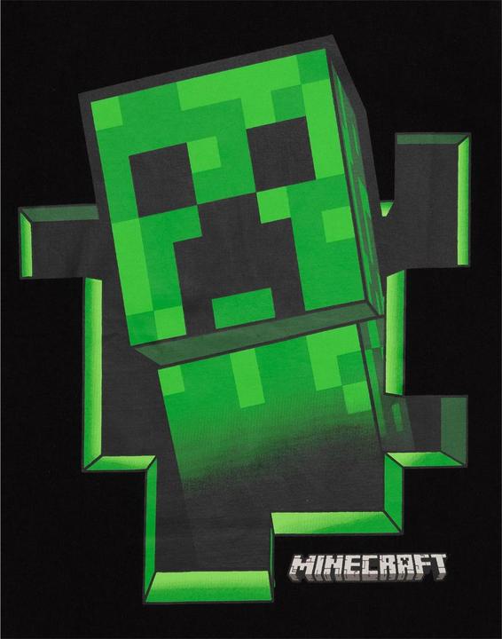 Image du produit Minecraft Inside T-shirt garçon (164, 170)