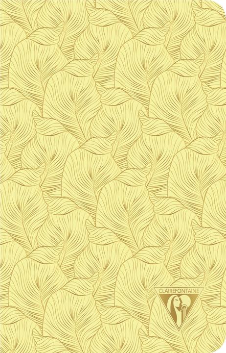 Image du produit Clairefontaine Néo Déco (11 x 17 cm, À rayures, Couverture rigide)