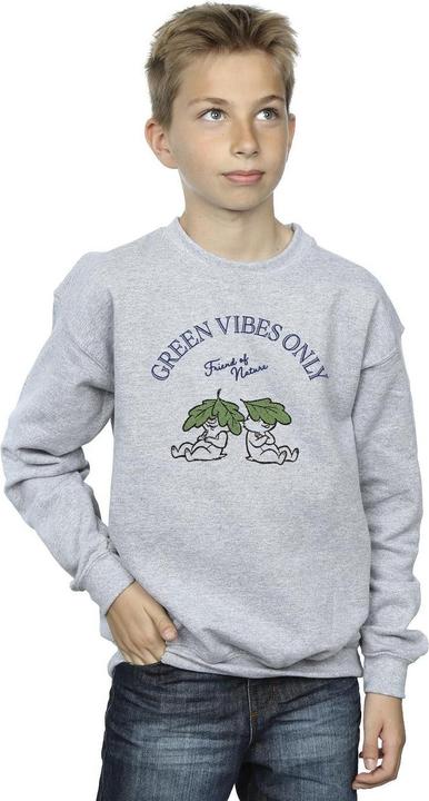 Actual product image Disney Boys Chip 'n Dale Green Vibes Only Sweatshirt (104)
