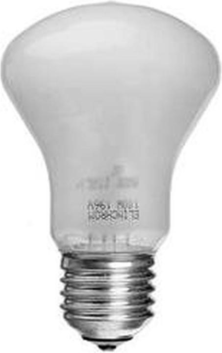 Actual product image Elinchrom Modeling lamp E23002