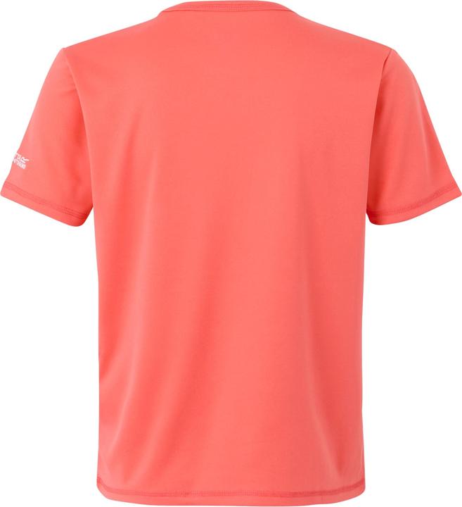 Produktbild Regatta Alvarado IX TShirt (116)