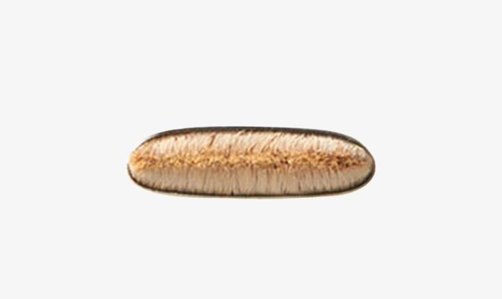 Actual product image MAC Cosmetics 212 Flat Definer Brush (Eyebrows)
