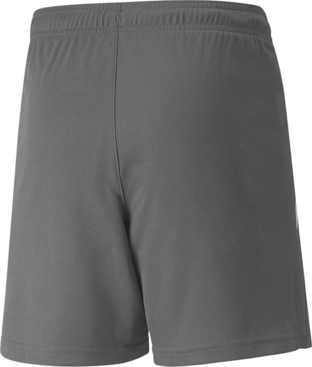 Actual product image Puma teamLIGA Shorts Jr-704931 (140)