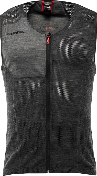Image du produit ALPINA SPORTS Prolan (XL, Protection dorsale, Modèle unique)