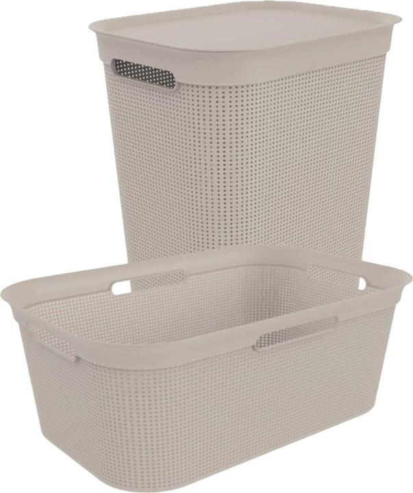 Image du produit Rotho Brisen (50 l)