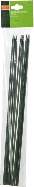 Immagine prodotto Siena Garden Supporti per piante (40 cm, 0.40 cm)