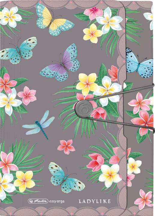 Herlitz Cartella PP 12F Ladylike Butrfl. (A4, 1 x)