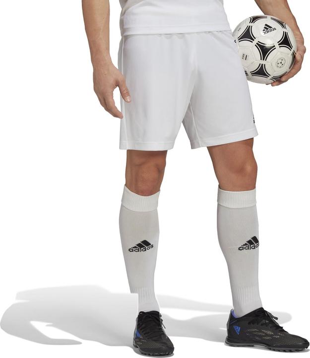 Image du produit adidas Entrada 22 Shorts (XS)