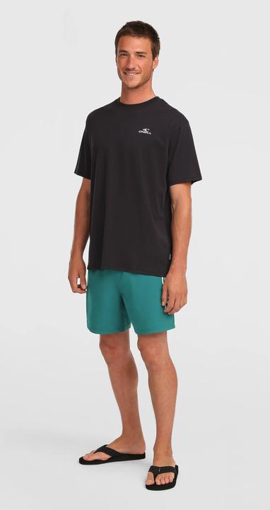 Produktbild O'Neill Beachshorts Logo (XXL)