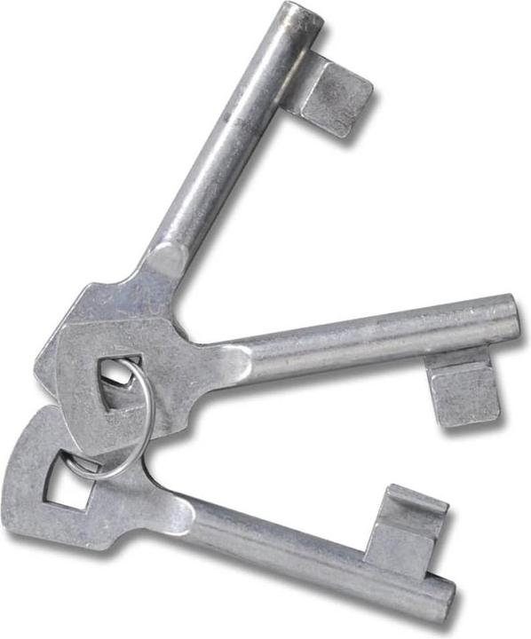 Produktbild vidaXL Zauntor