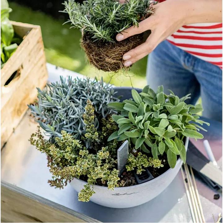 Actual product image Lechuza Cubeto Color (30 cm)