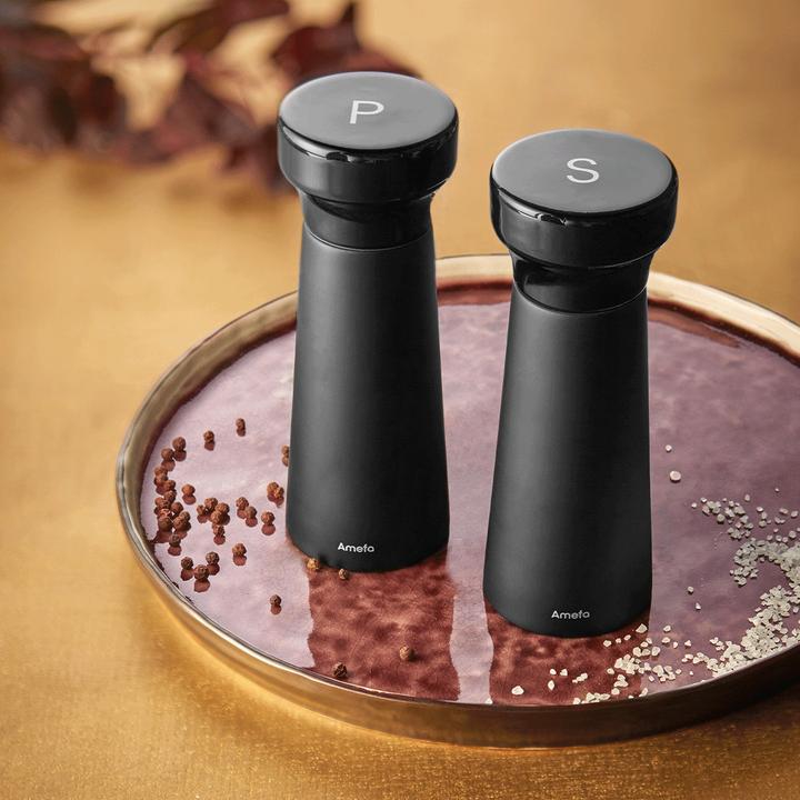 Actual product image Amefa Salière (Pepper, Salt)