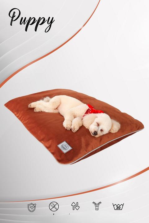 Actual product image Paws & Whiskers Puppy Dog L Pet Bed (Cat, Dog)