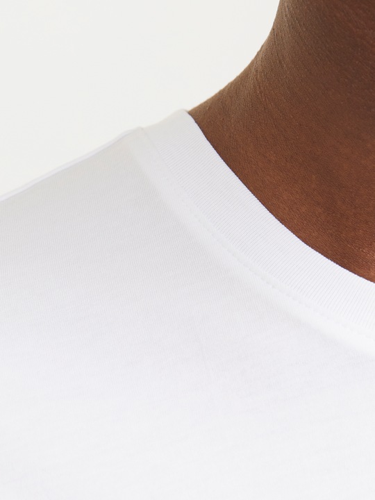 Actual product image Jack & Jones Jjelogo Tee Ss O-Neck 2 Col Ss25 Sn (3XL)