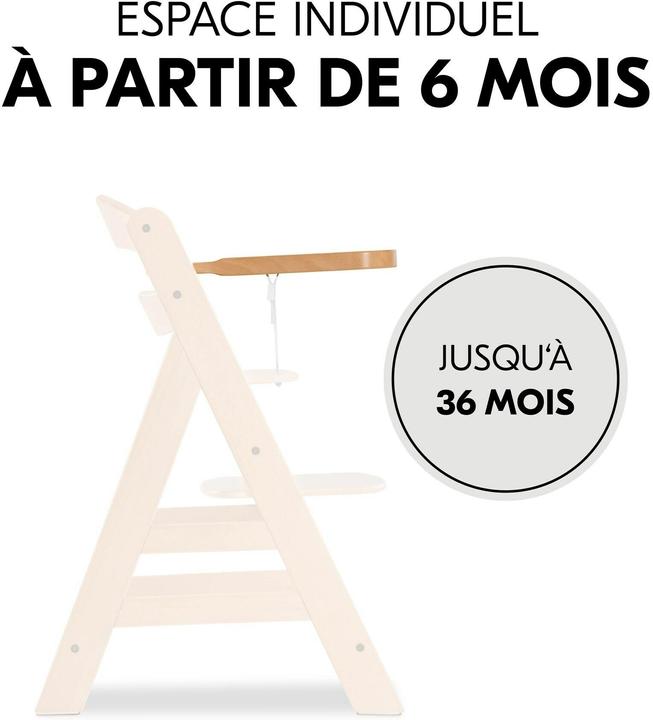 Actual product image Hauck Alpha Tray