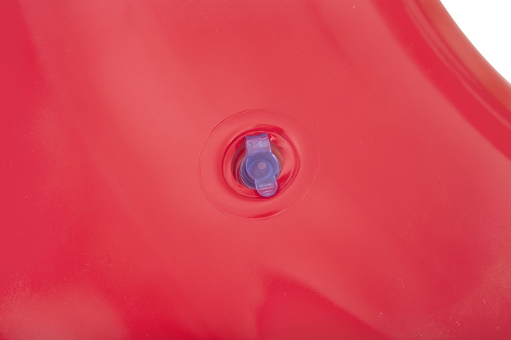 Actual product image Bestway Palmy Jr.36237 2183 swimming wheel