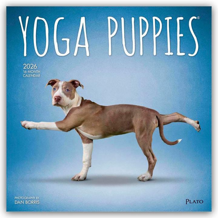 Produktbild Yoga Puppies - Welpen Yoga 2026 - 16-Monatskalender