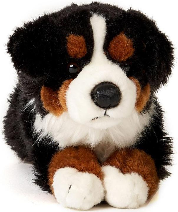Immagine prodotto Uniring Cane di montagna bernese (39 cm)